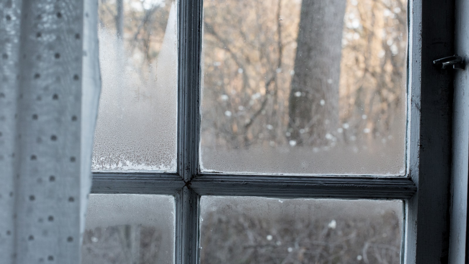 Damp and Mould in Flats: How Heat Recovery Ventilation Helps